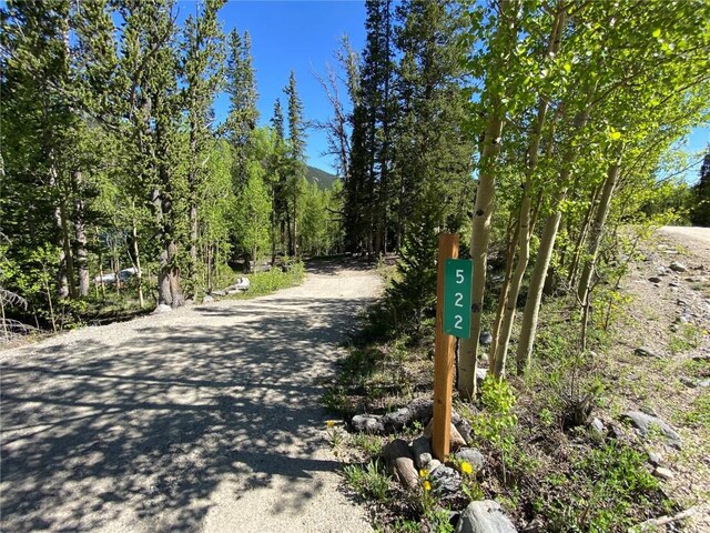 522 Quartzville Rd, Alma, CO 80420 - photo 7