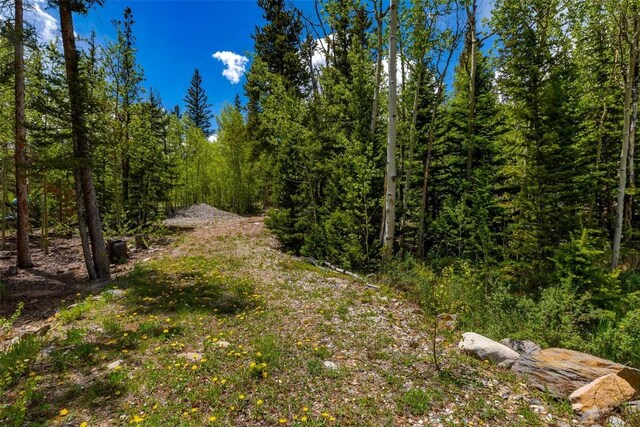 522 Quartzville Rd, Alma, CO 80420 - photo 41