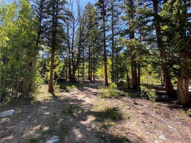 522 Quartzville Rd, Alma, CO 80420 - photo 24