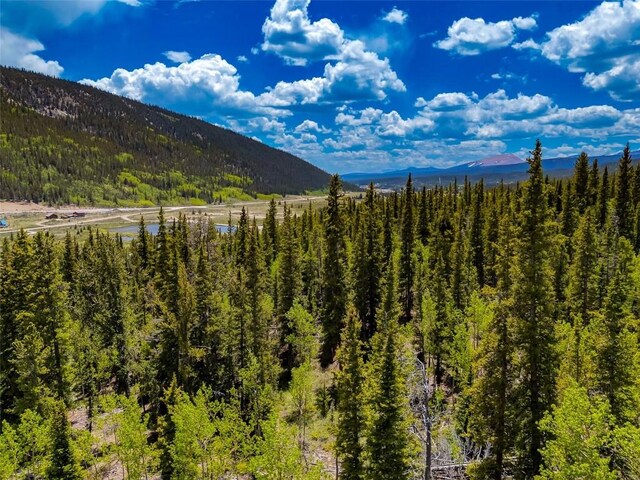 522 Quartzville Rd, Alma, CO 80420 - photo 28