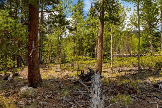 522 Quartzville Rd, Alma, CO 80420 - photo 37