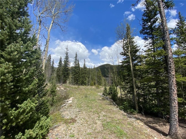 522 Quartzville Rd, Alma, CO 80420 - photo 25