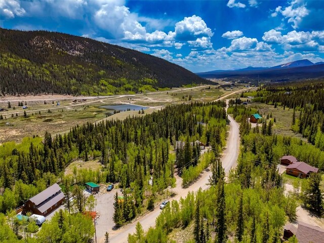 522 Quartzville Rd, Alma, CO 80420 - photo 30