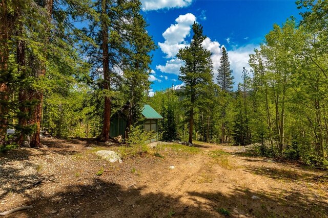 522 Quartzville Rd, Alma, CO 80420 - photo 32