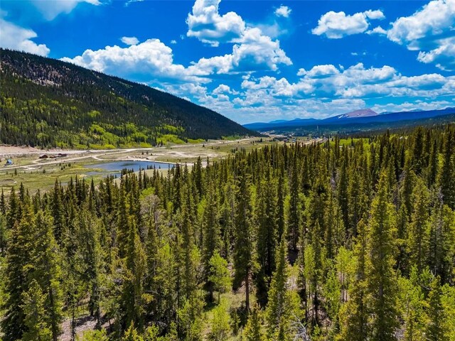 522 Quartzville Rd, Alma, CO 80420 - photo 29