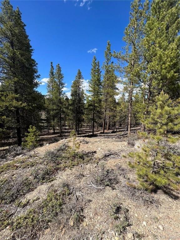 123 Lodgepole Dr, Leadville, CO 80461 - photo 15