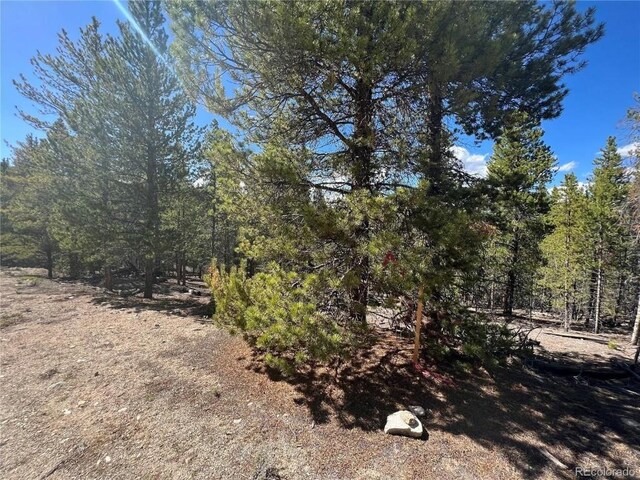 123 Lodgepole Dr, Leadville, CO 80461 - photo 5