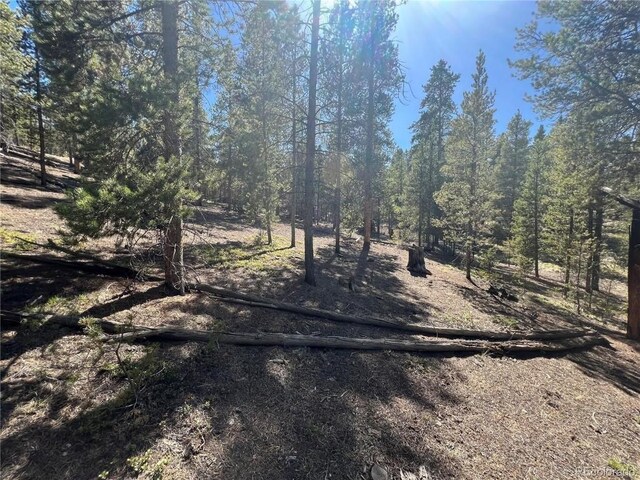 123 Lodgepole Dr, Leadville, CO 80461 - photo 11