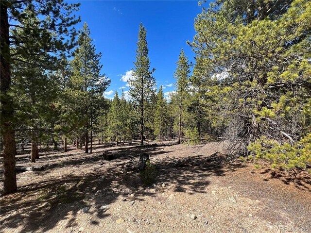 123 Lodgepole Dr, Leadville, CO 80461 - photo 9