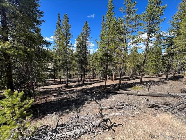 123 Lodgepole Dr, Leadville, CO 80461 - photo 7