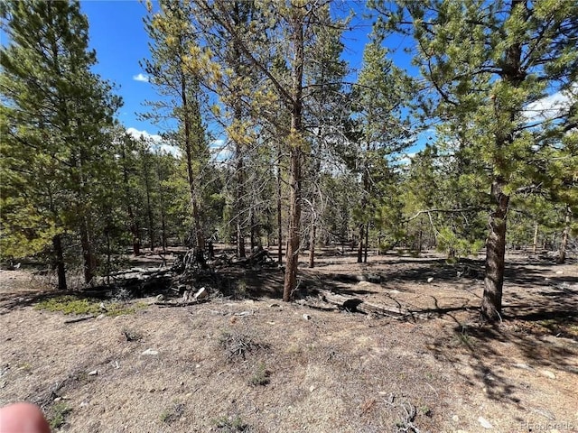 123 Lodgepole Dr, Leadville, CO 80461 - photo 6