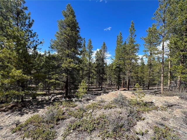 123 Lodgepole Dr, Leadville, CO 80461 - photo 8