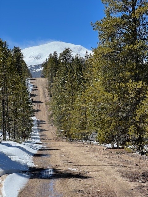 123 Lodgepole Dr, Leadville, CO 80461 - photo 3