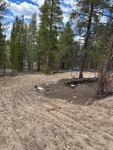 123 Lodgepole Dr, Leadville, CO 80461 - photo 1