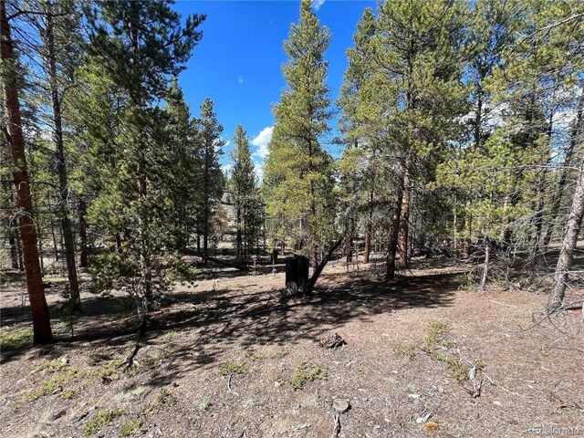 123 Lodgepole Dr, Leadville, CO 80461 - photo 10
