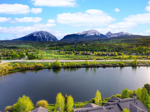 116 Allegra Dr Unit 116, Silverthorne, CO 80498 - photo 36
