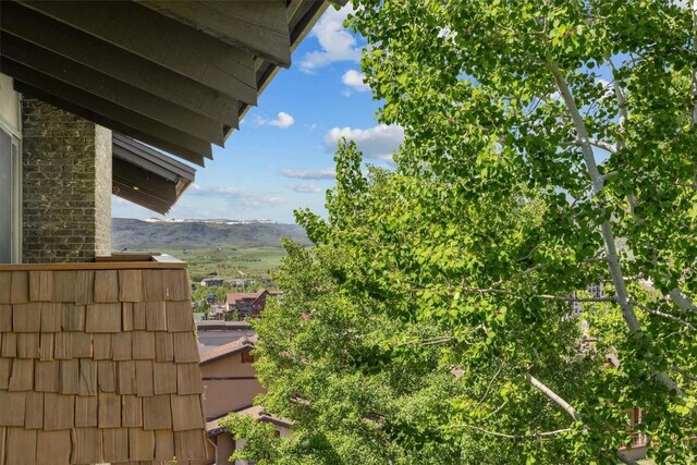 2215 Storm Meadows Dr Unit 550, Steamboat Springs, CO 80487 - photo 12