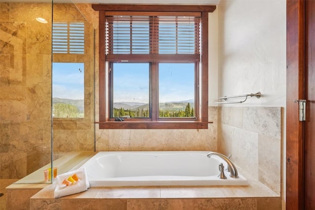 1521 Ski Hill Rd Unit 8312, Breckenridge, CO 80424 - full bathroom featuring a garden tub