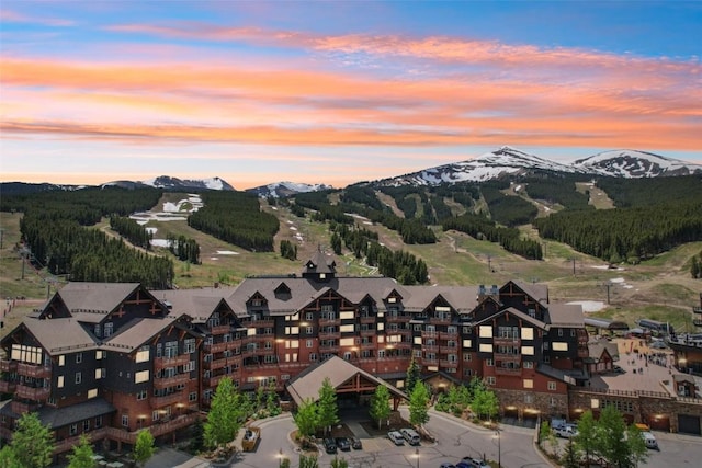 1521 Ski Hill Rd Unit 8312, Breckenridge, CO 80424 - mountain view