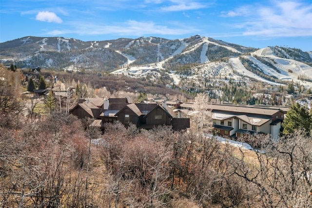 1305 Overlook Dr, Steamboat Springs, CO 80487
