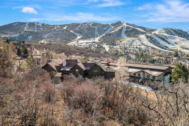 1305 Overlook Dr, Steamboat Springs, CO 80487