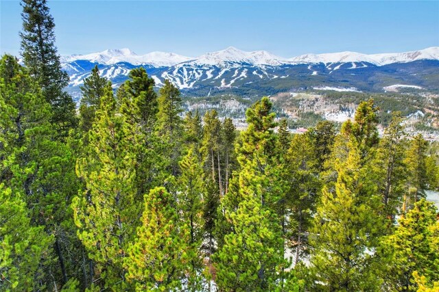 1331 Forest Hills Dr, Breckenridge, CO 80424