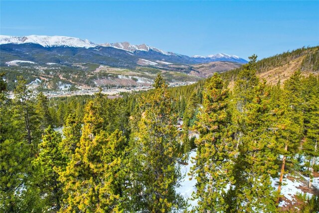 1331 Forest Hills Dr, Breckenridge, CO 80424