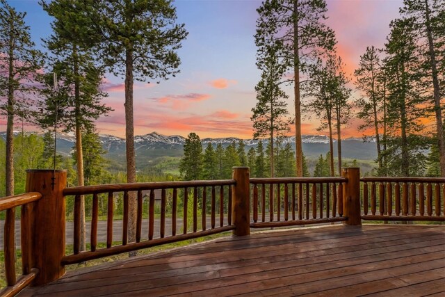 58 Rounds Rd, Breckenridge, CO 80424 - photo 38