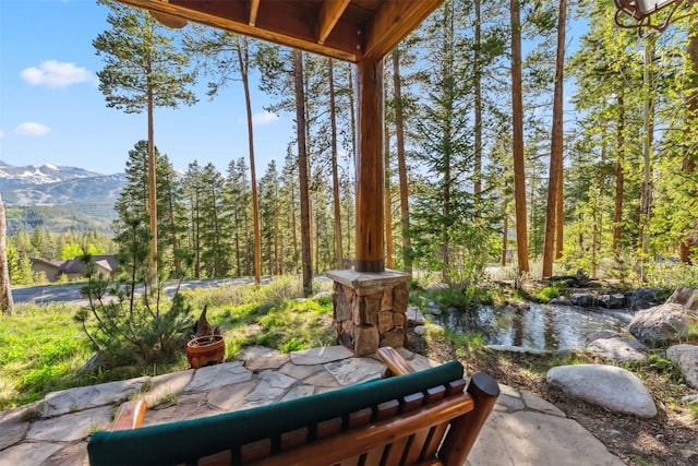 58 Rounds Rd, Breckenridge, CO 80424 - photo 34