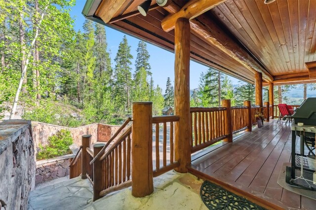 58 Rounds Rd, Breckenridge, CO 80424 - photo 13