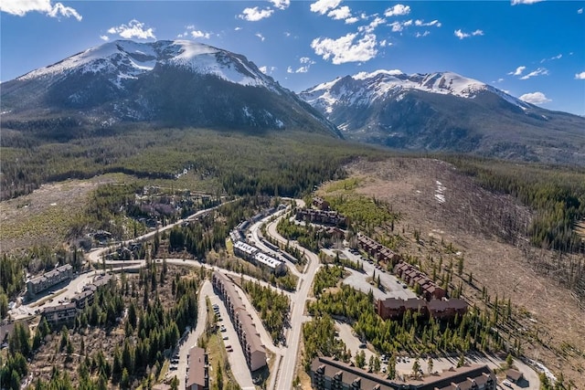 91200 Ryan Gulch Rd Unit 91222, Silverthorne, CO 80498 - view of mountain background