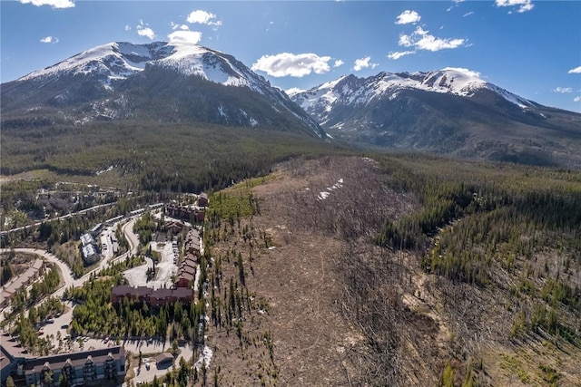 91200 Ryan Gulch Rd Unit 91222, Silverthorne, CO 80498 - view of mountain background