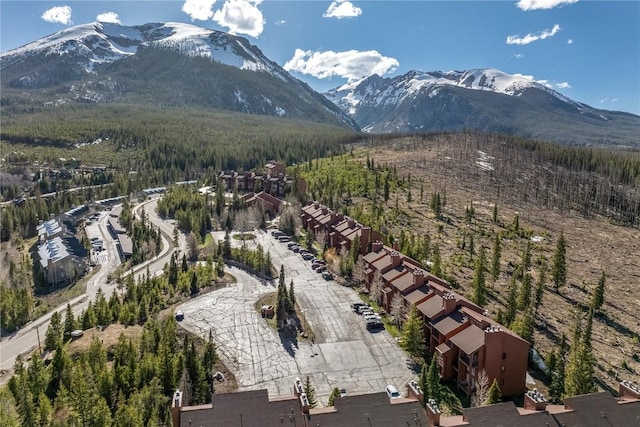 91200 Ryan Gulch Rd Unit 91222, Silverthorne, CO 80498 - mountain view featuring a heavily wooded area