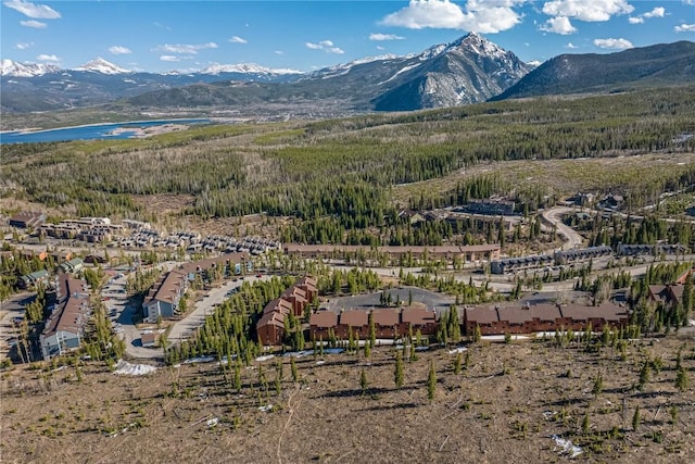 91200 Ryan Gulch Rd Unit 91222, Silverthorne, CO 80498 - view of mountain backdrop with a large body of water