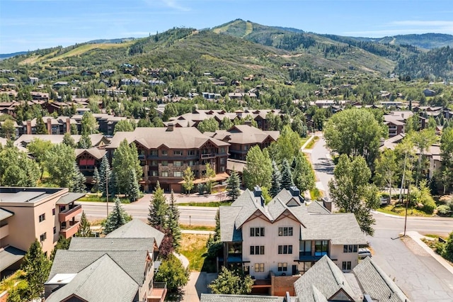 2830 Blackhawk Ct, Steamboat Springs, CO 80487 - photo 5