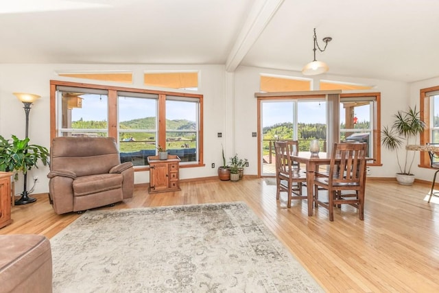 26870 Beaver Canyon Dr, Clark, CO 80428 - living room with light wood-type flooring, beamed ceiling, and baseboards