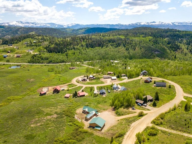 26870 Beaver Canyon Dr, Clark, CO 80428 - bird's eye view of a forest and a mountain backdrop