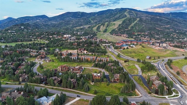 1288 Turning Leaf Ct # 32A, Steamboat Springs, CO 80487 - photo 46
