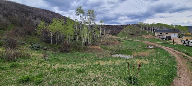 26000 Old Springs Rd, Oak Creek, CO 80467