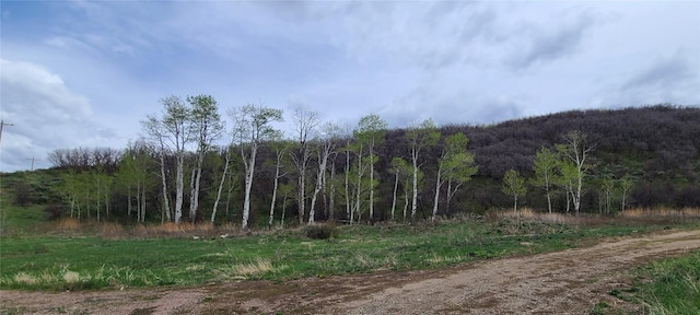 26000 Old Springs Rd, Oak Creek, CO 80467