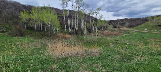 26000 Old Springs Rd, Oak Creek, CO 80467