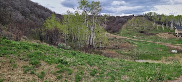 26000 Old Springs Rd, Oak Creek, CO 80467