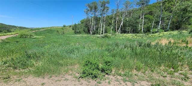 26000 Old Springs Rd, Oak Creek, CO 80467