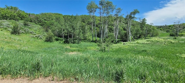 26000 Old Springs Rd, Oak Creek, CO 80467