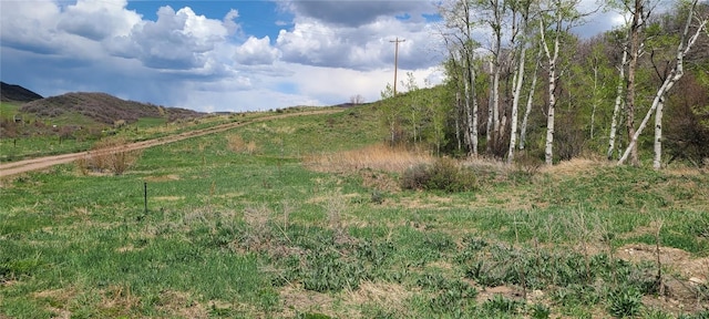 26000 Old Springs Rd, Oak Creek, CO 80467