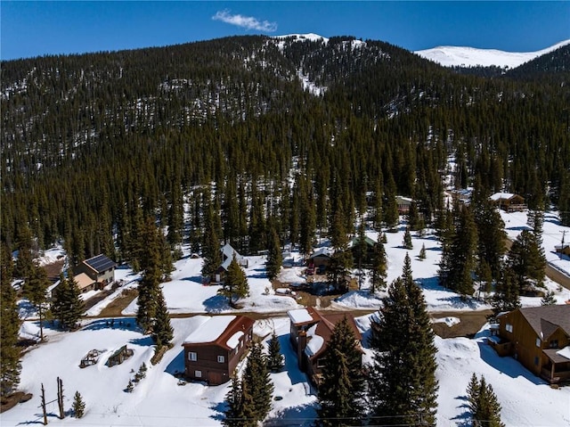 5277 Montezuma Rd, Montezuma, CO 80435 - mountain view featuring a view of trees