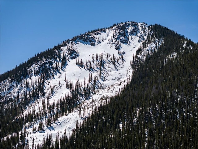 5277 Montezuma Rd, Montezuma, CO 80435 - mountain view