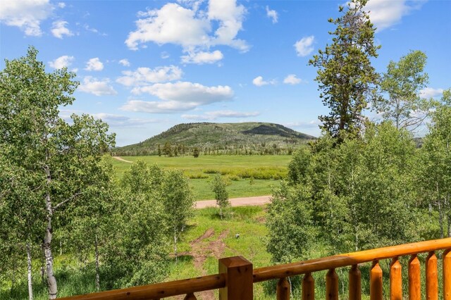 33181 Wenatchi Trl, Oak Creek, CO 80467 - photo 10
