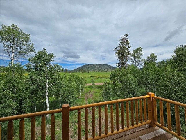 33181 Wenatchi Trl, Oak Creek, CO 80467 - photo 9