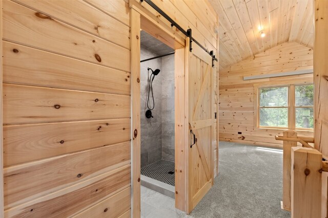 33181 Wenatchi Trl, Oak Creek, CO 80467 - photo 34